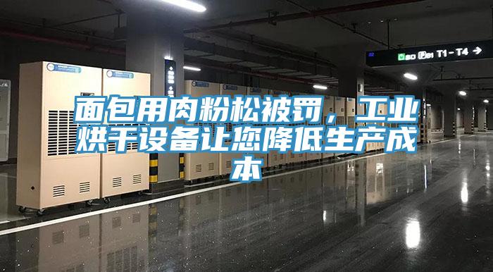 面包用肉粉松被罰，工業(yè)烘干設(shè)備讓您降低生產(chǎn)成本