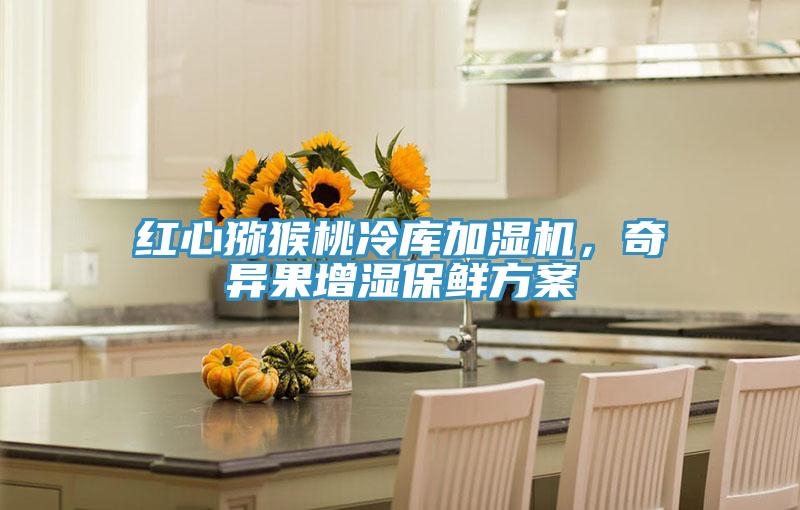 紅心獼猴桃冷庫加濕機，奇異果增濕保鮮方案