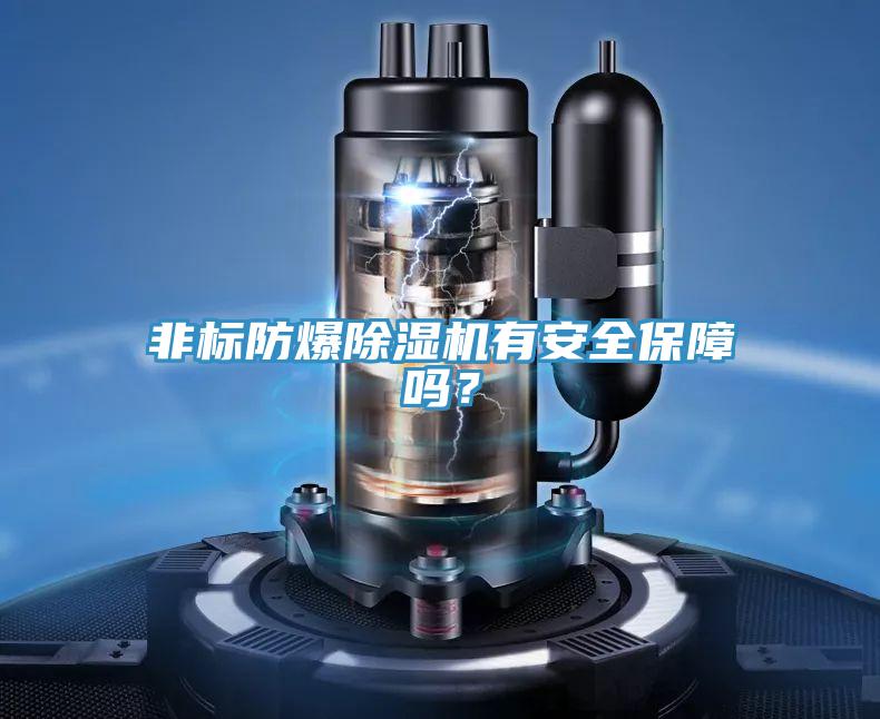 非標(biāo)防爆除濕機(jī)有安全保障嗎？