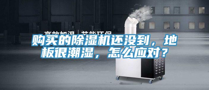 購買的除濕機還沒到，地板很潮濕，怎么應對？