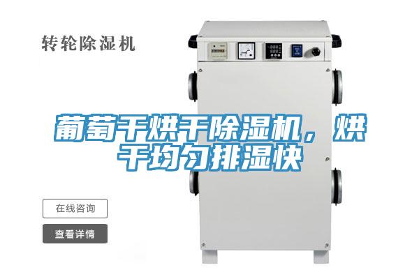 葡萄干烘干除濕機(jī)，烘干均勻排濕快