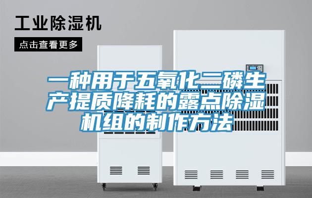 一種用于五氧化二磷生產(chǎn)提質(zhì)降耗的露點除濕機組的制作方法