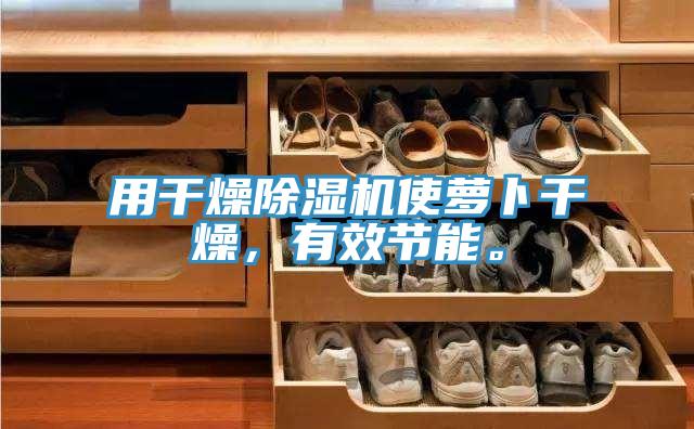 用干燥除濕機使蘿卜干燥，有效節(jié)能。