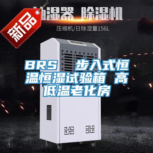 BRS  步入式恒溫恒濕試驗(yàn)箱 高低溫老化房