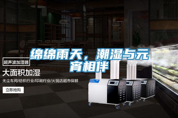 綿綿雨天，潮濕與元宵相伴