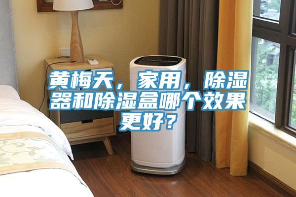 黃梅天，家用，除濕器和除濕盒哪個效果更好？