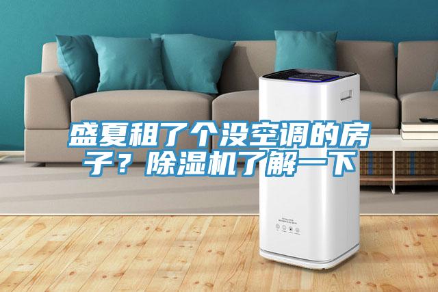 盛夏租了個沒空調(diào)的房子？除濕機(jī)了解一下