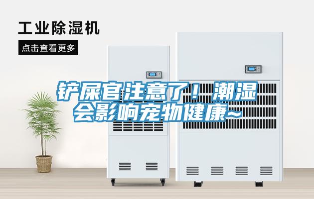 鏟屎官注意了！潮濕會(huì)影響寵物健康~