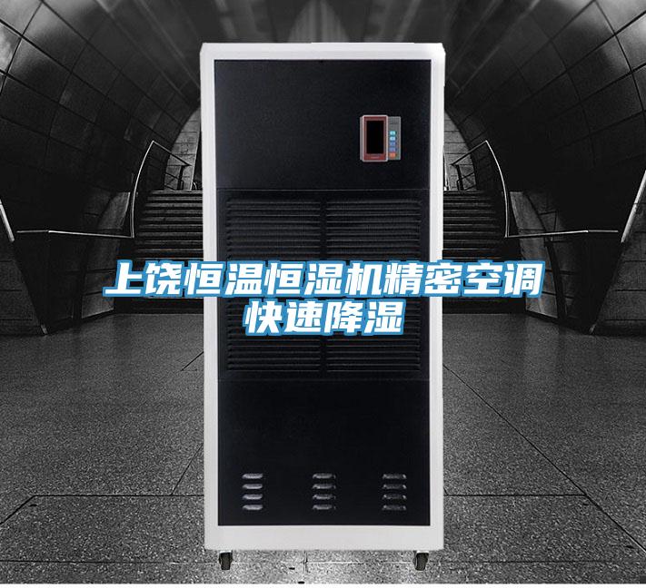 上饒恒溫恒濕機(jī)精密空調(diào)快速降濕