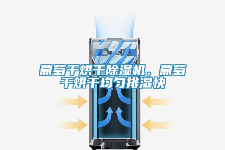 葡萄干烘干除濕機(jī)，葡萄干烘干均勻排濕快