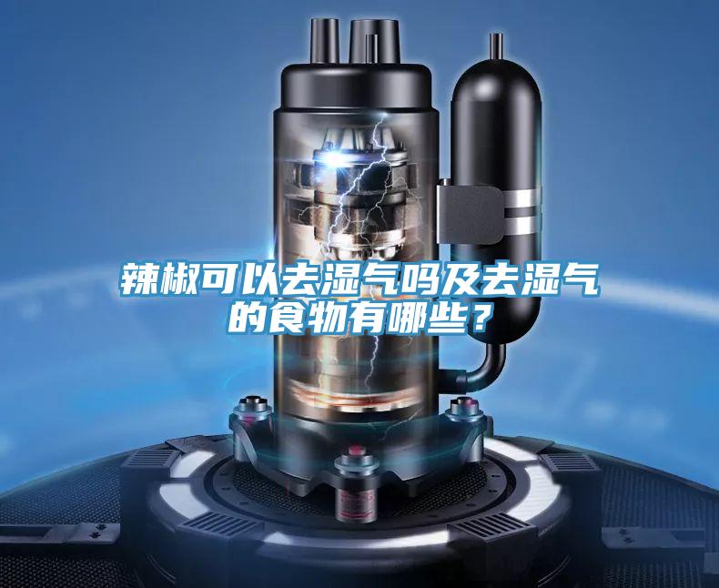 辣椒可以去濕氣嗎及去濕氣的食物有哪些？