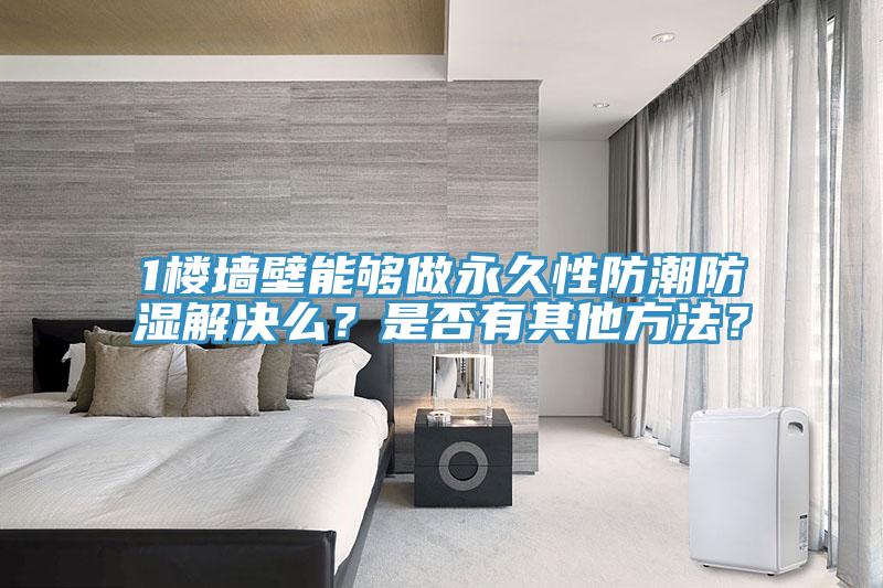 1樓墻壁能夠做永久性防潮防濕解決么？是否有其他方法？
