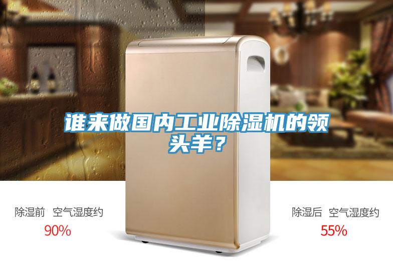 誰來做國內(nèi)工業(yè)除濕機的領(lǐng)頭羊？