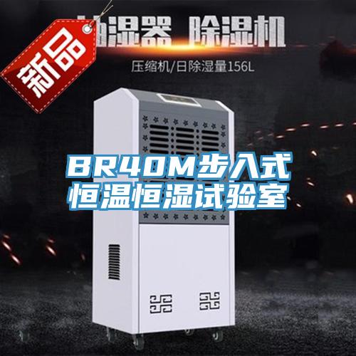 BR40M步入式恒溫恒濕試驗(yàn)室