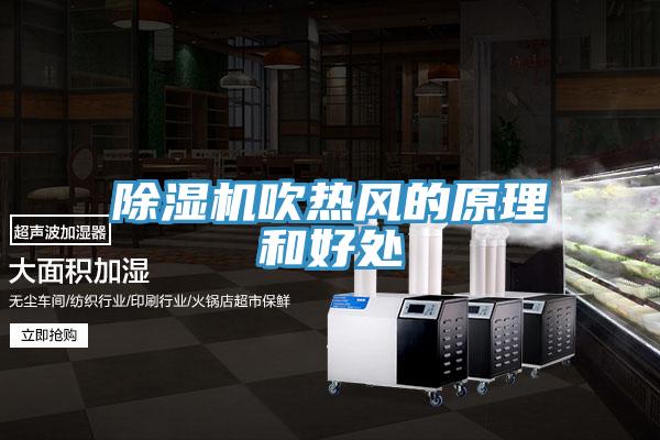 除濕機(jī)吹熱風(fēng)的原理和好處