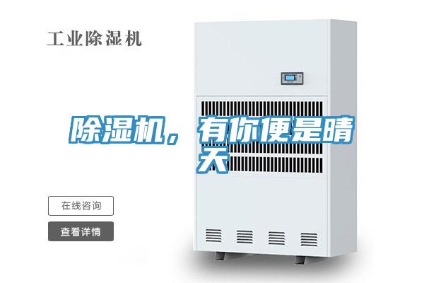 除濕機(jī)，有你便是晴天