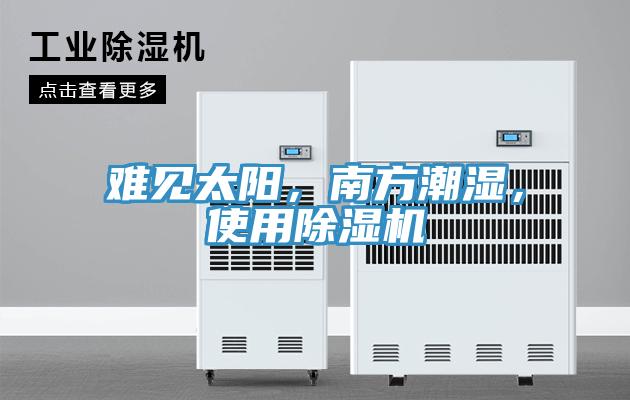 難見太陽，南方潮濕，使用除濕機