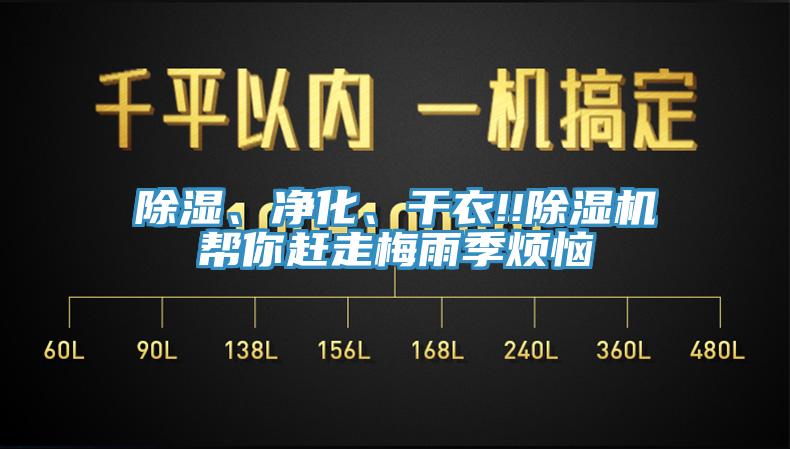 除濕、凈化、干衣!!除濕機(jī)幫你趕走梅雨季煩惱