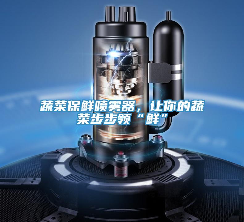 蔬菜保鮮噴霧器，讓你的蔬菜步步領(lǐng)“鮮”