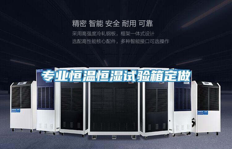專業(yè)恒溫恒濕試驗(yàn)箱定做