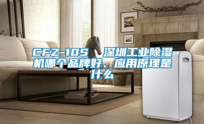 CFZ-10S  深圳工業(yè)除濕機(jī)哪個品牌好、應(yīng)用原理是什么