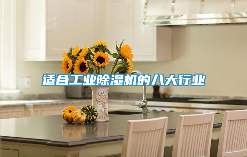適合工業(yè)除濕機(jī)的八大行業(yè)