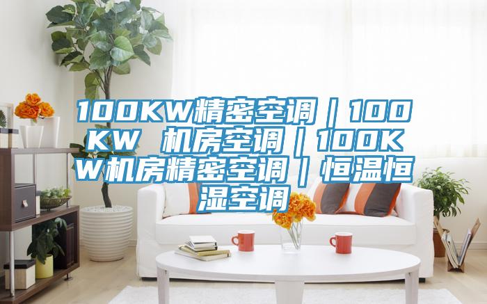 100KW精密空調(diào)｜100KW 機房空調(diào)｜100KW機房精密空調(diào)｜恒溫恒濕空調(diào)