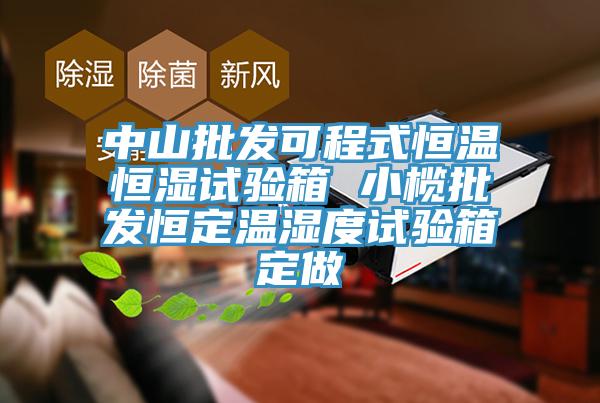 中山批發(fā)可程式恒溫恒濕試驗(yàn)箱 小欖批發(fā)恒定溫濕度試驗(yàn)箱定做