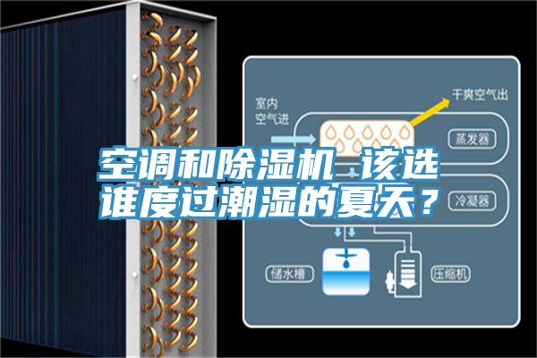 空調(diào)和除濕機(jī) 該選誰度過潮濕的夏天？