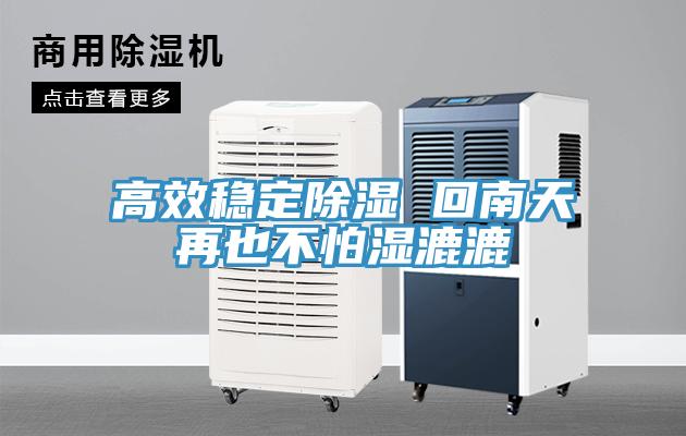 高效穩(wěn)定除濕 回南天再也不怕濕漉漉