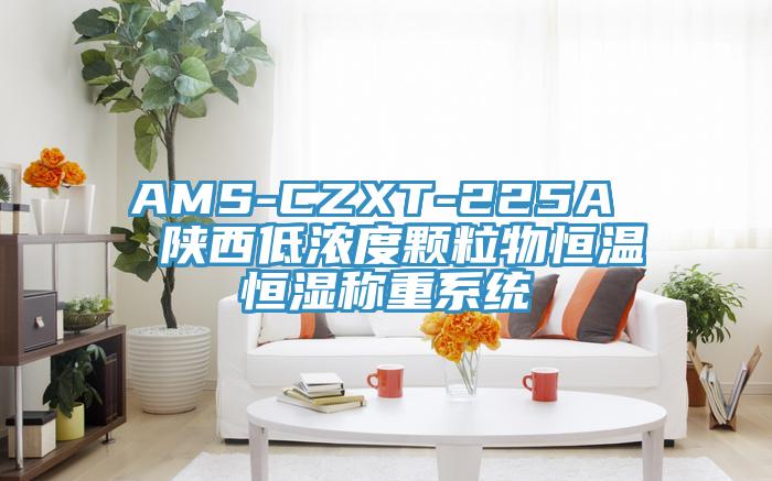 AMS-CZXT-225A  陜西低濃度顆粒物恒溫恒濕稱重系統(tǒng)