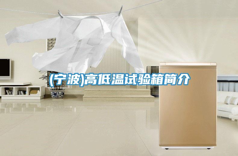 (寧波)高低溫試驗(yàn)箱簡(jiǎn)介