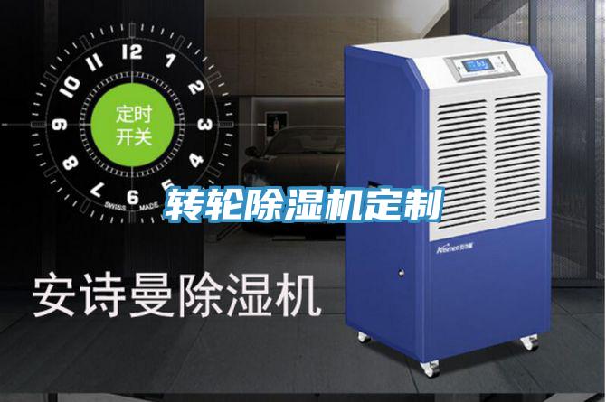 轉(zhuǎn)輪除濕機定制
