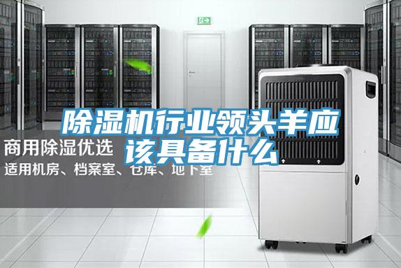 除濕機(jī)行業(yè)領(lǐng)頭羊應(yīng)該具備什么