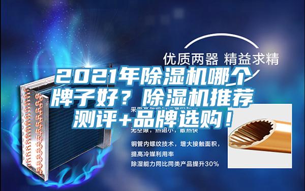 2021年除濕機哪個牌子好？除濕機推薦測評+品牌選購！
