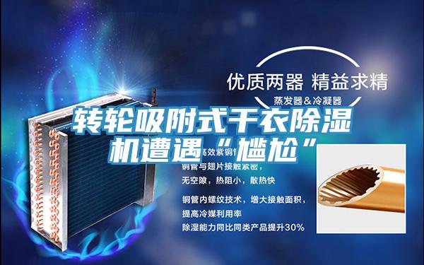 轉(zhuǎn)輪吸附式干衣除濕機遭遇“尷尬”