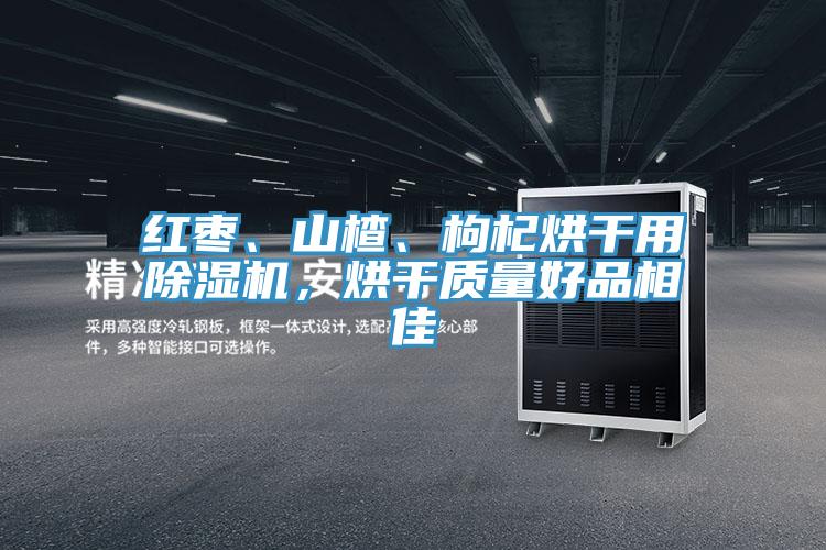 紅棗、山楂、枸杞烘干用除濕機，烘干質(zhì)量好品相佳