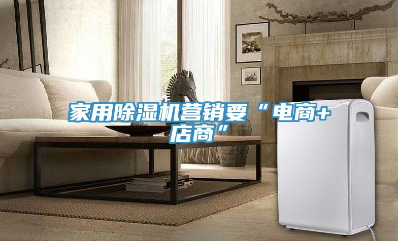 家用除濕機(jī)營銷要“電商+店商”