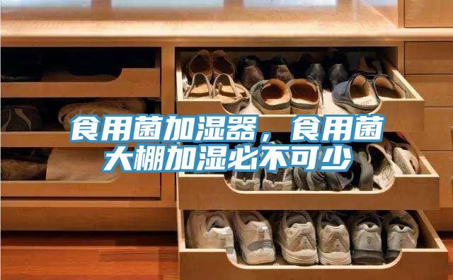 食用菌加濕器，食用菌大棚加濕必不可少