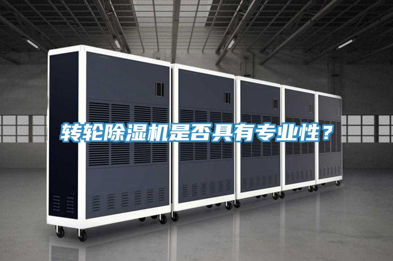 轉(zhuǎn)輪除濕機(jī)是否具有專業(yè)性？