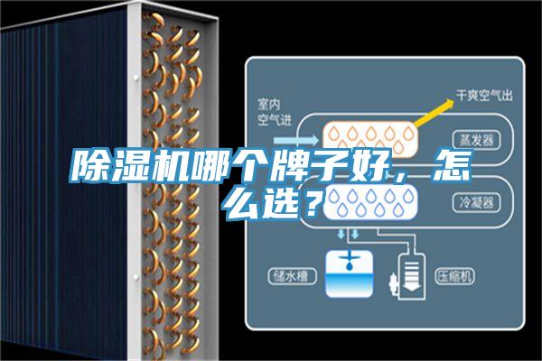 除濕機哪個牌子好，怎么選？