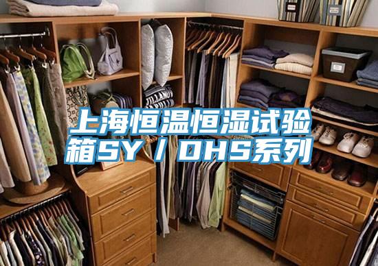 上海恒溫恒濕試驗(yàn)箱SY／DHS系列