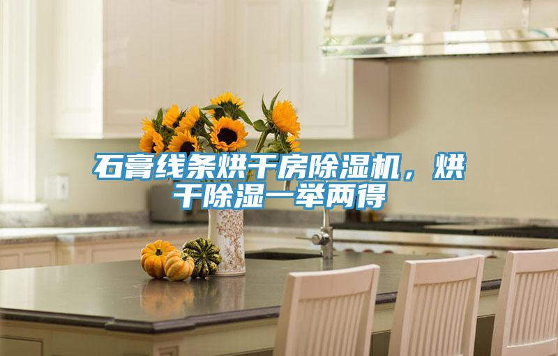石膏線條烘干房除濕機(jī)，烘干除濕一舉兩得