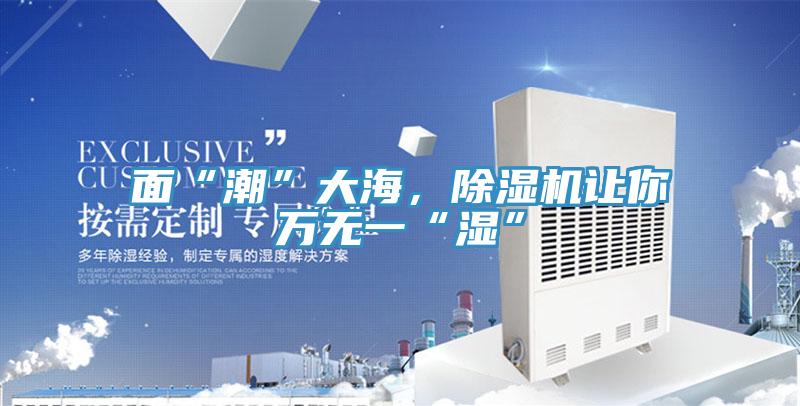 面“潮”大海，除濕機讓你萬無一“濕”