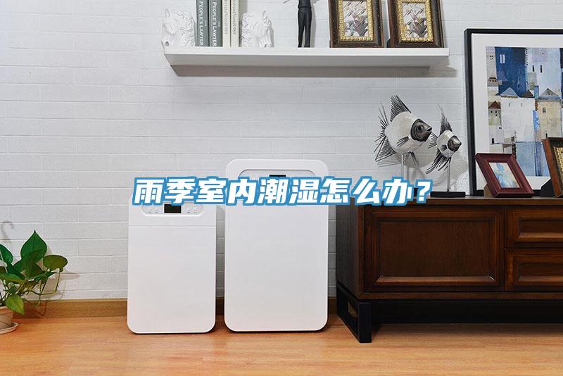 雨季室內(nèi)潮濕怎么辦？