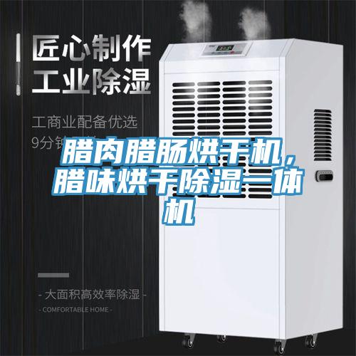 臘肉臘腸烘干機，臘味烘干除濕一體機