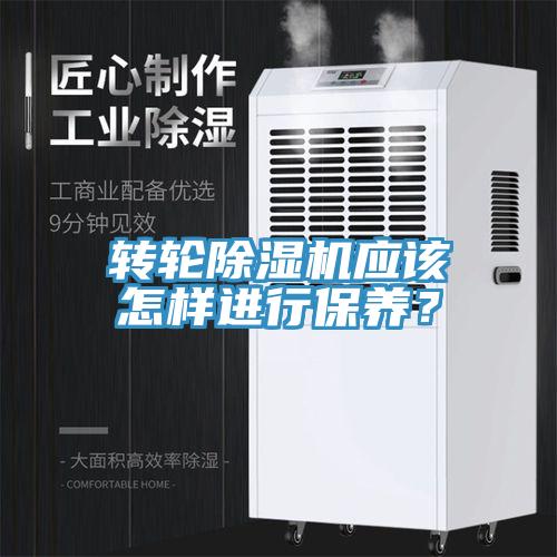轉輪除濕機應該怎樣進行保養(yǎng)？
