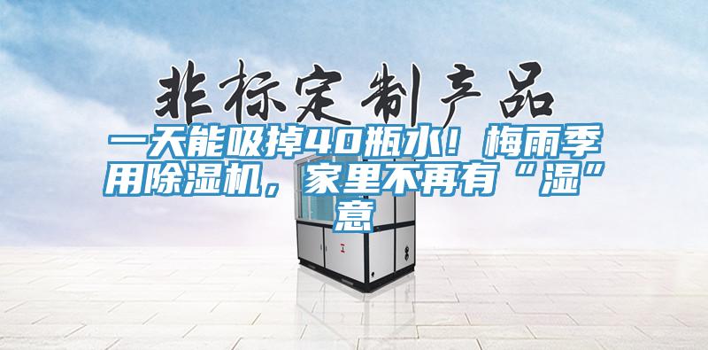 一天能吸掉40瓶水！梅雨季用除濕機(jī)，家里不再有“濕”意