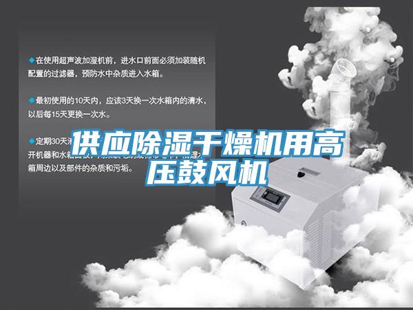供應(yīng)除濕干燥機(jī)用高壓鼓風(fēng)機(jī)