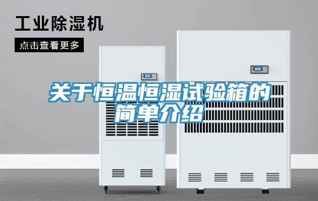 關于恒溫恒濕試驗箱的簡單介紹